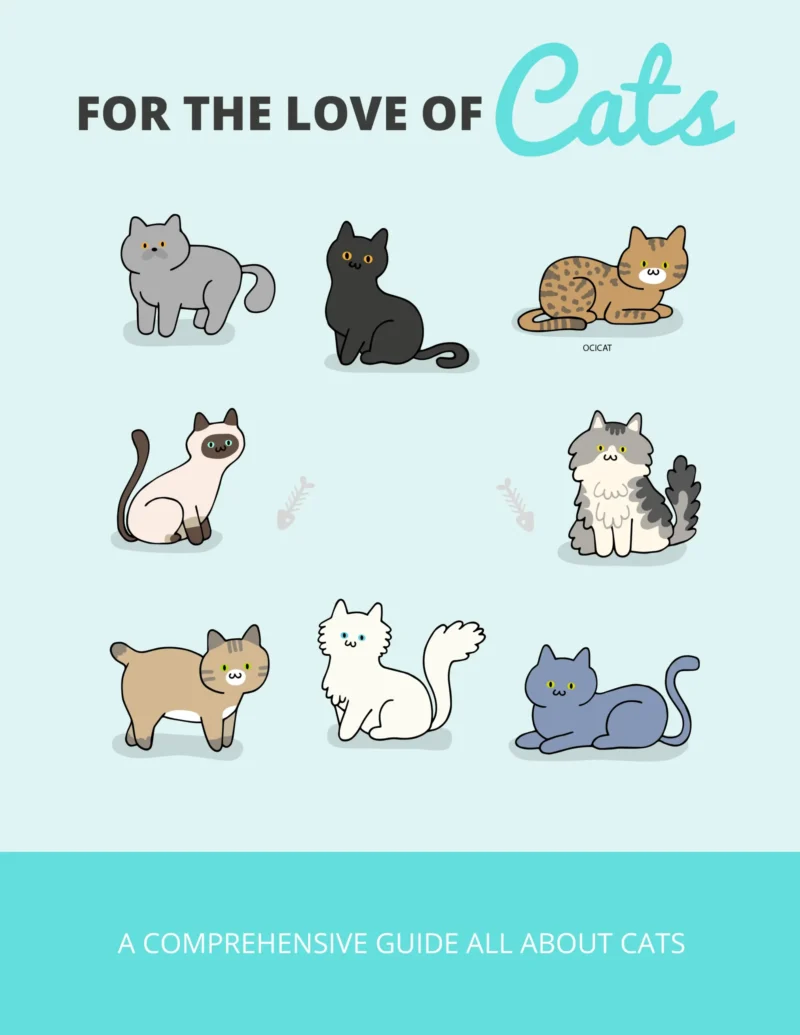 For the Love of Cats